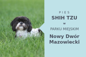 Polecany obszar na spacer z psem Shih Tzu w Nowym Dworze Mazowieckim